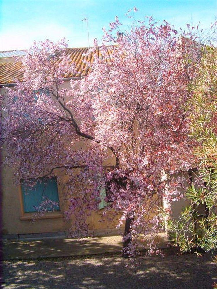 Cit'Hotel Hotel Las Cigalas Villeneuve-lès-Béziers Exterior foto
